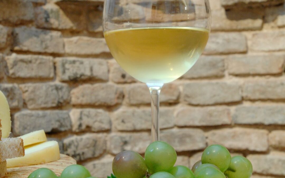 verdicchio